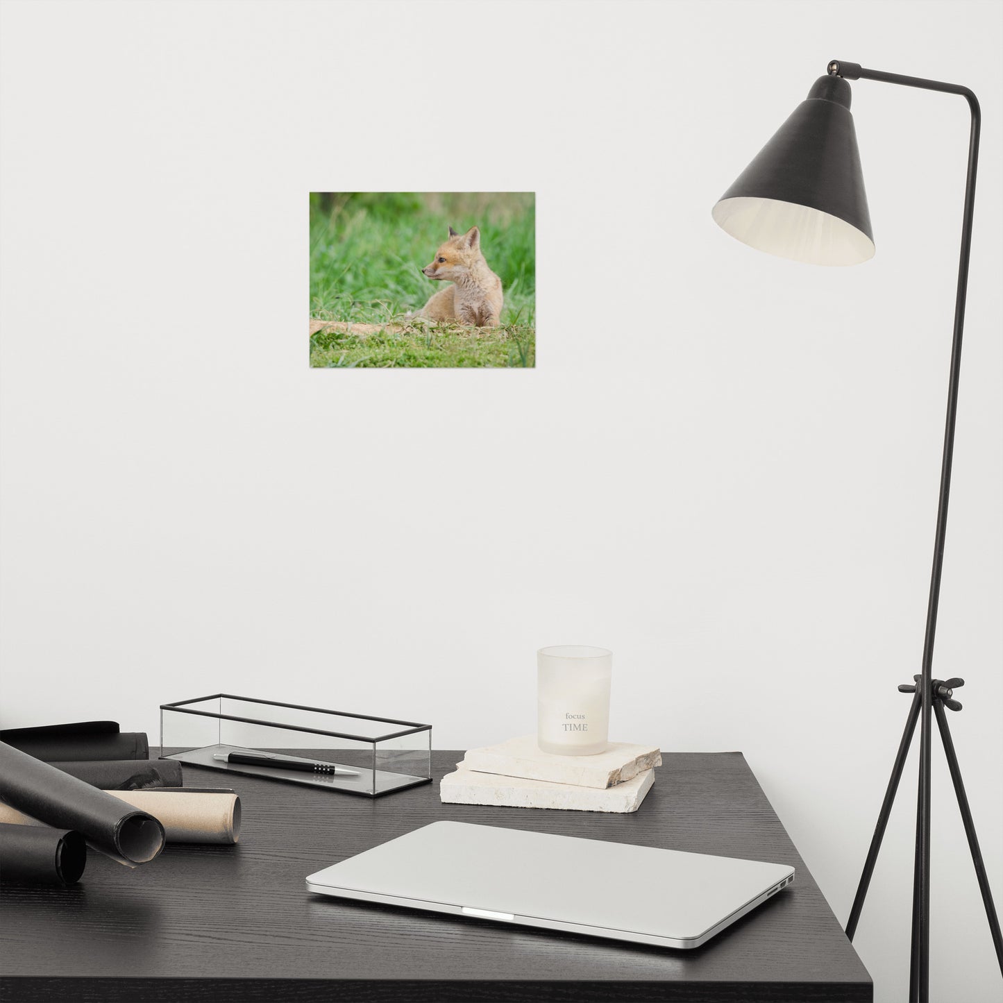 Red Fox Wall Art: Red Fox Pups - Chillin Animal / Wildlife / Nature Photograph Loose / Unframed / Frameless / Frameable Wall Art Print - Artwork