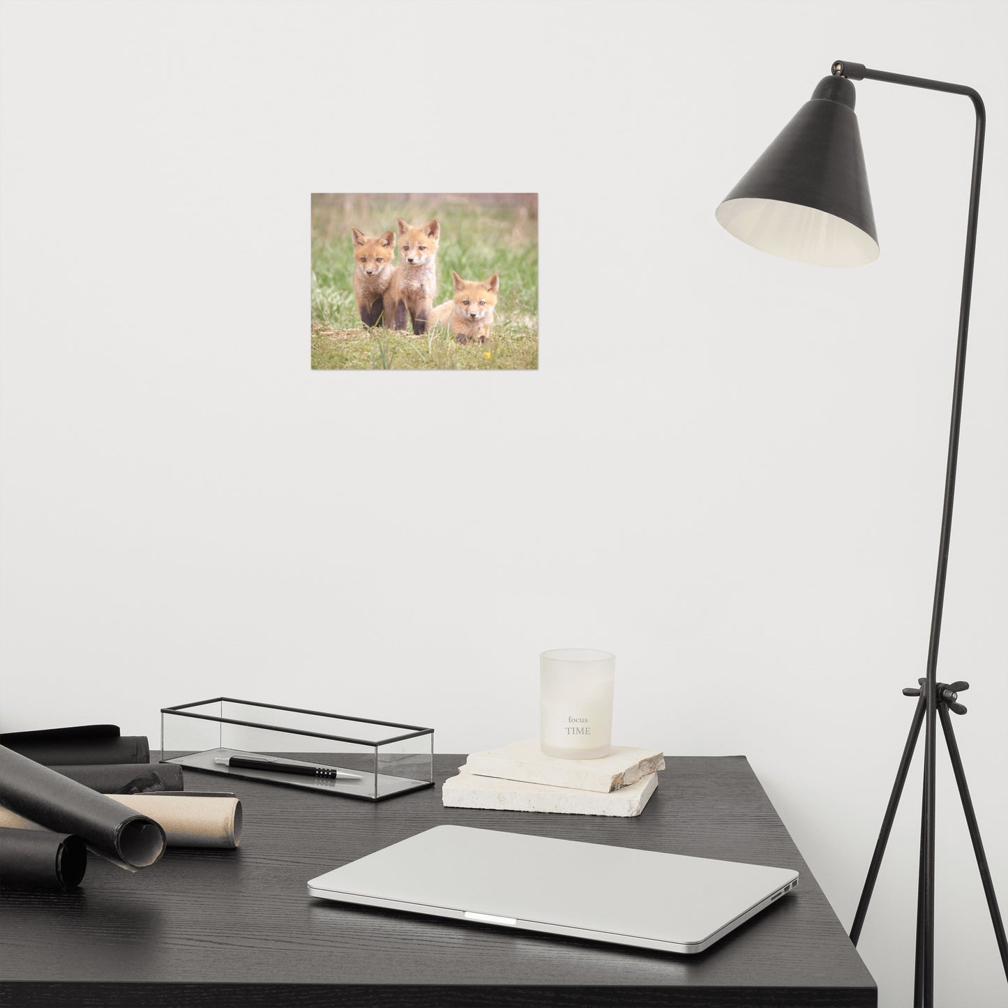 Baby Red Foxes Siblings Loose Wall Art Print