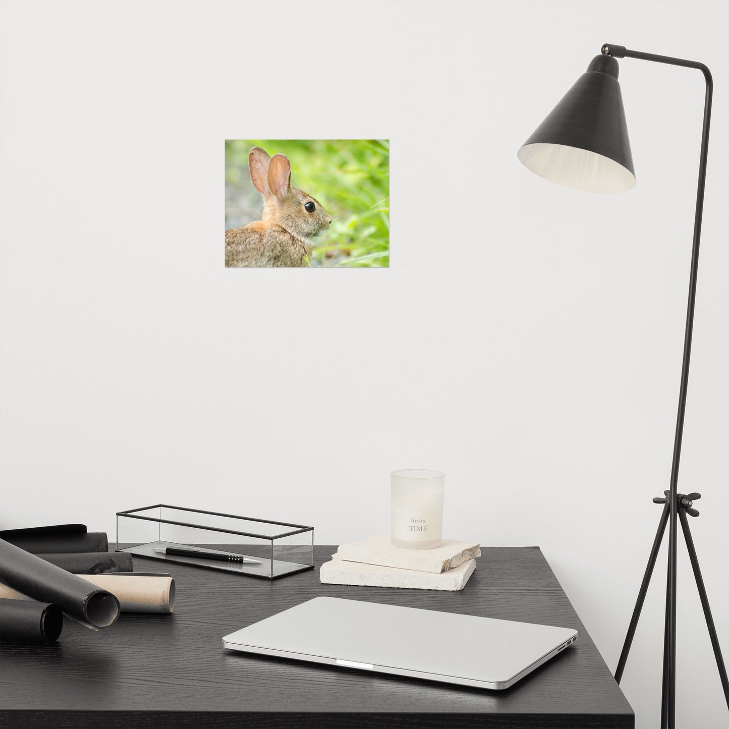 Bunny at Bombay Hook Animal / Wildlife Photograph Loose Wall Art Print