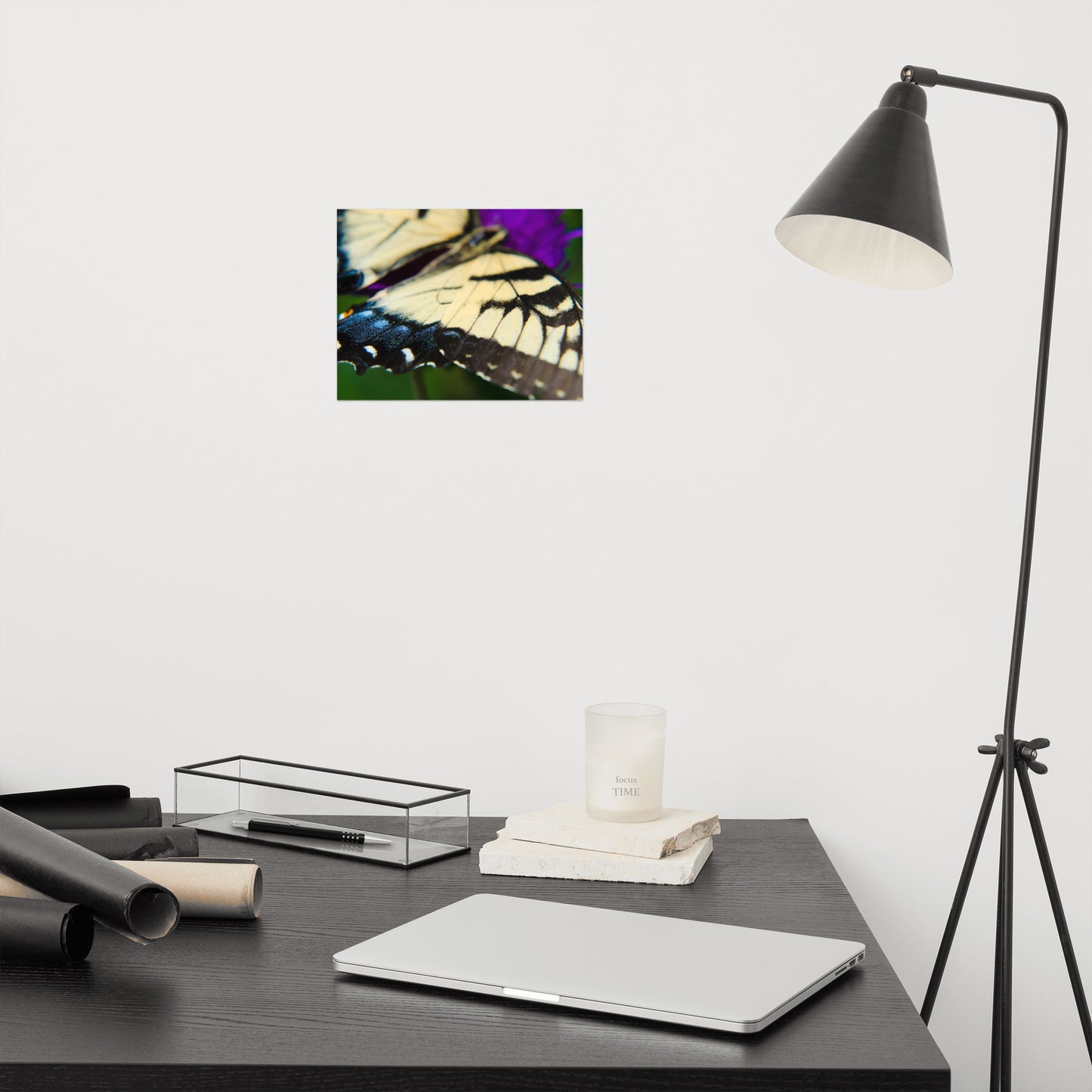 Butterfly Wings Animal / Wildlife Photograph Loose Wall Art Print