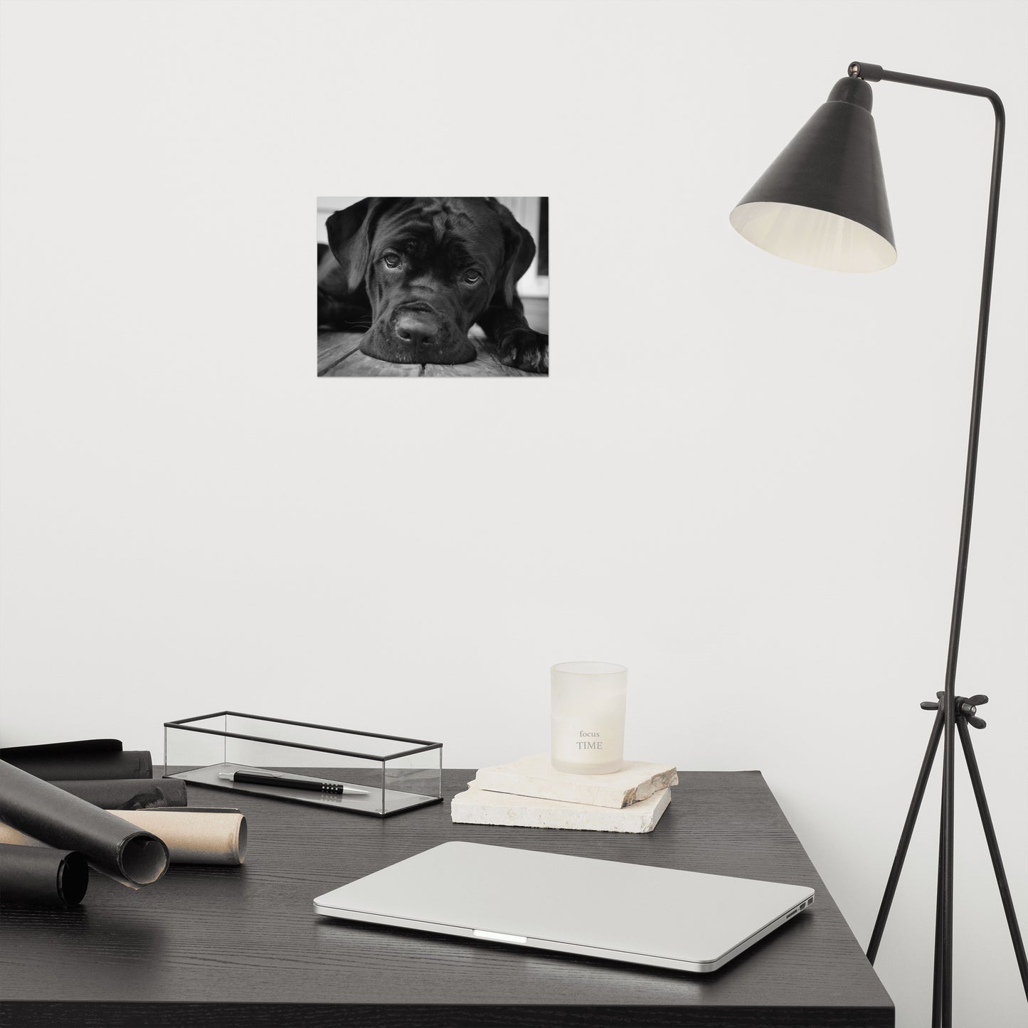 Cane Corso on Porch Animal / Dog Black & White Loose Wall Art Print