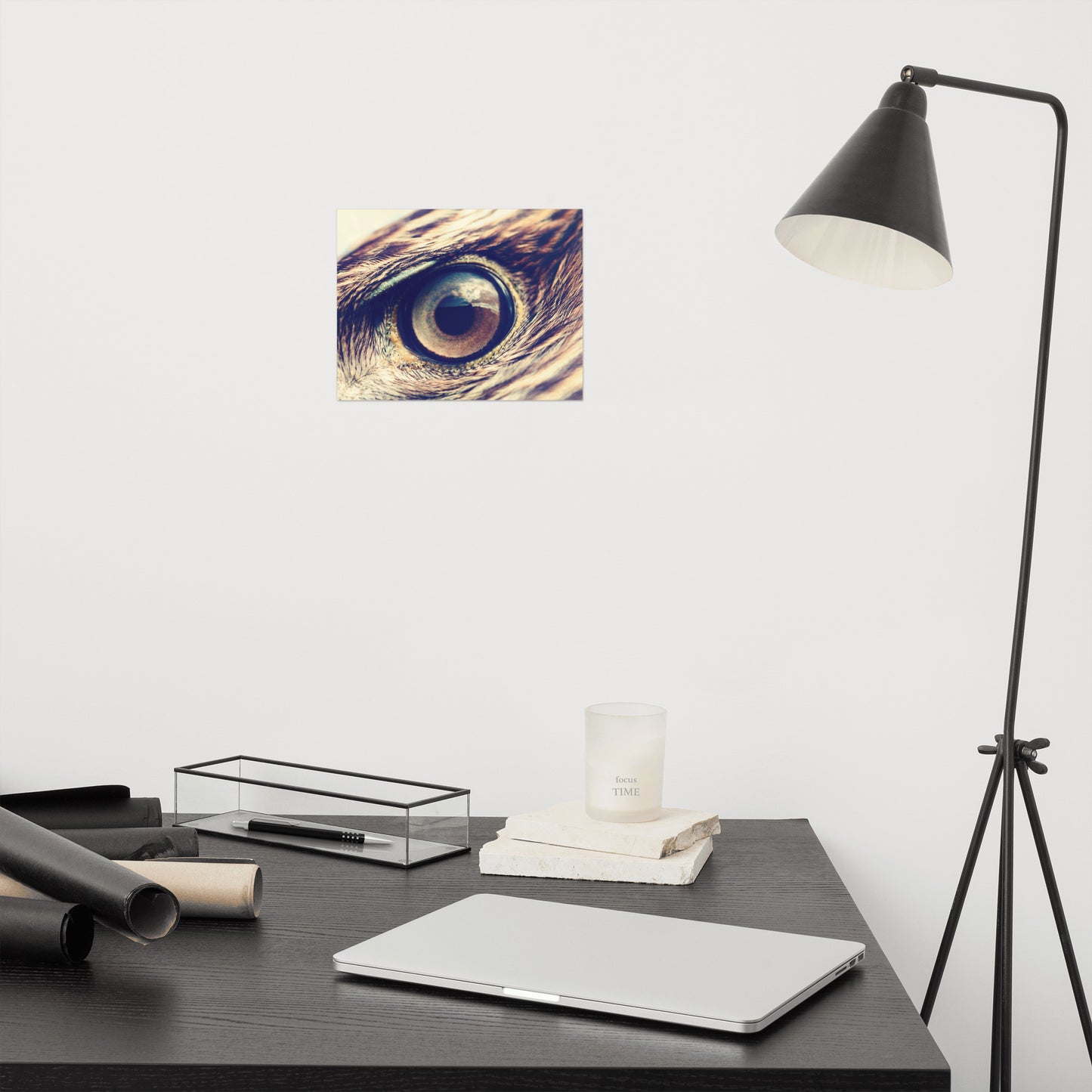 Close-up Eagle Eye Color Tone Rustic Bird / Animal / Wildlife Photo Loose Wall Art Print