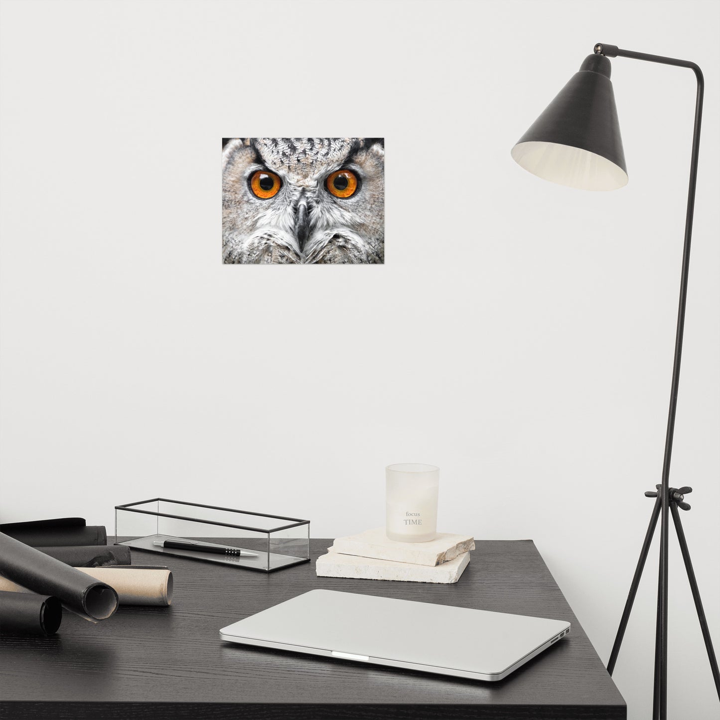 Close-up Yellow Owl Eyes Rustic Bird / Animal / Wildlife Photo Loose Wall Art Print