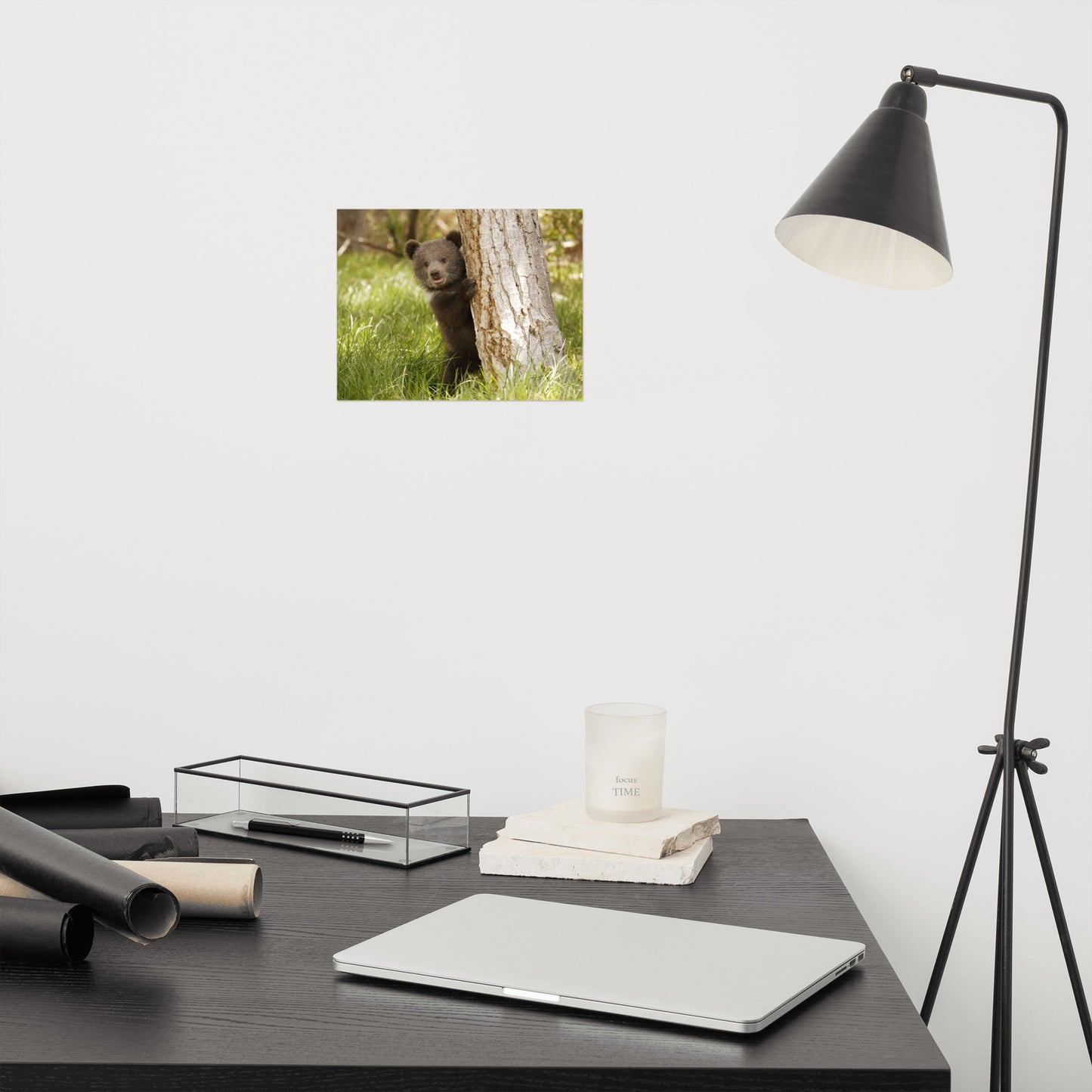Cute Baby Grizzly Bear Cub Behind Tree In Meadow Rustic Animal / Wildlife Photo Loose Wall Art Print