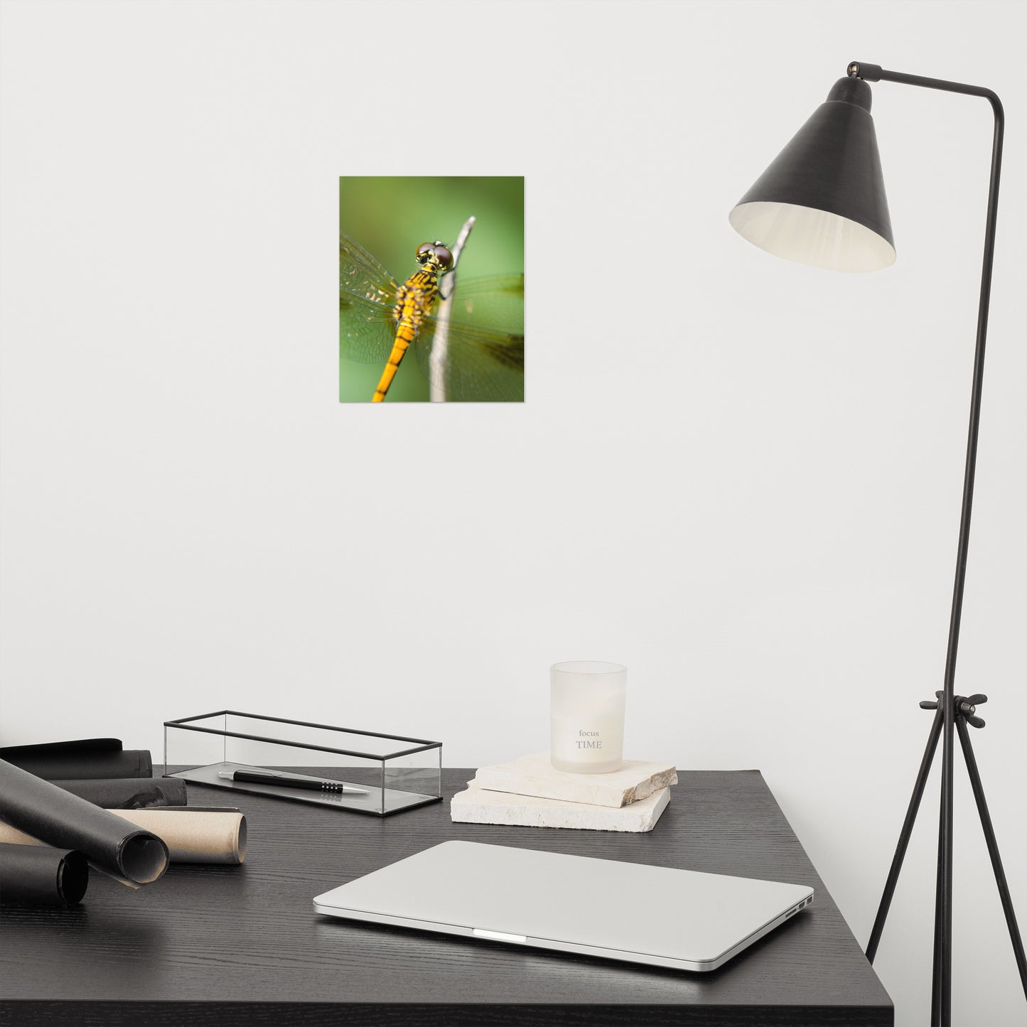 Dragonfly at Bombay Hook Farmhouse Style Wildlife Photograph Loose Wall Art Print