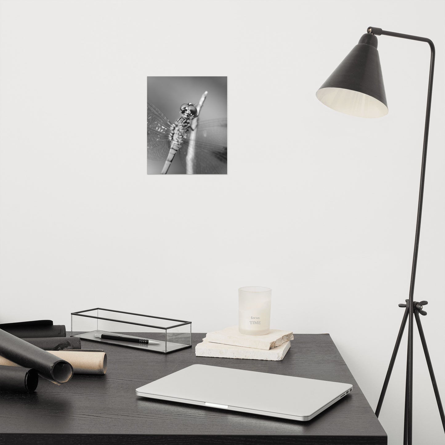 Dragonfly at Bombay Hook Black and White Rustic Wildlife Photograph Loose Wall Art Print