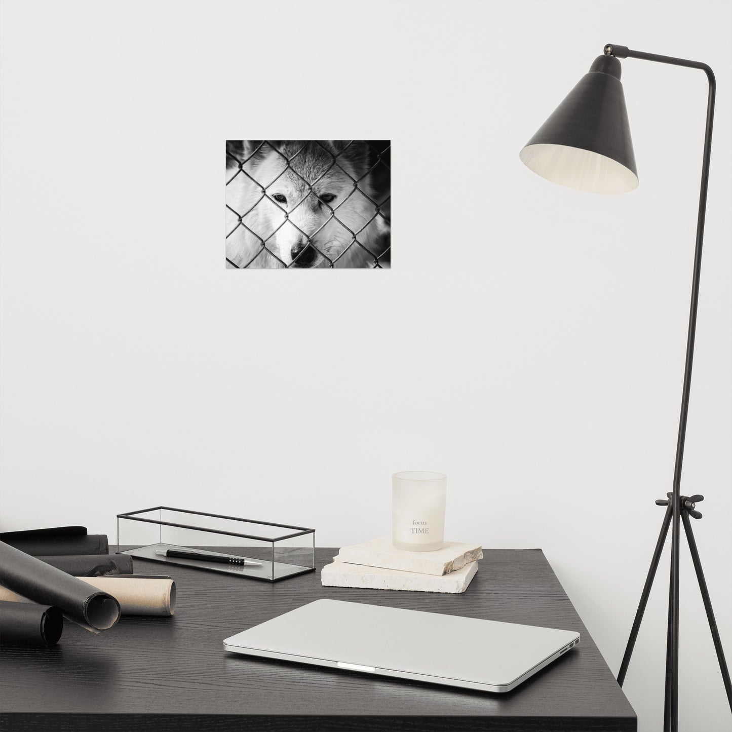 Dreams of Freedom Rustic Animal / Wildlife Photograph Loose Wall Art Print