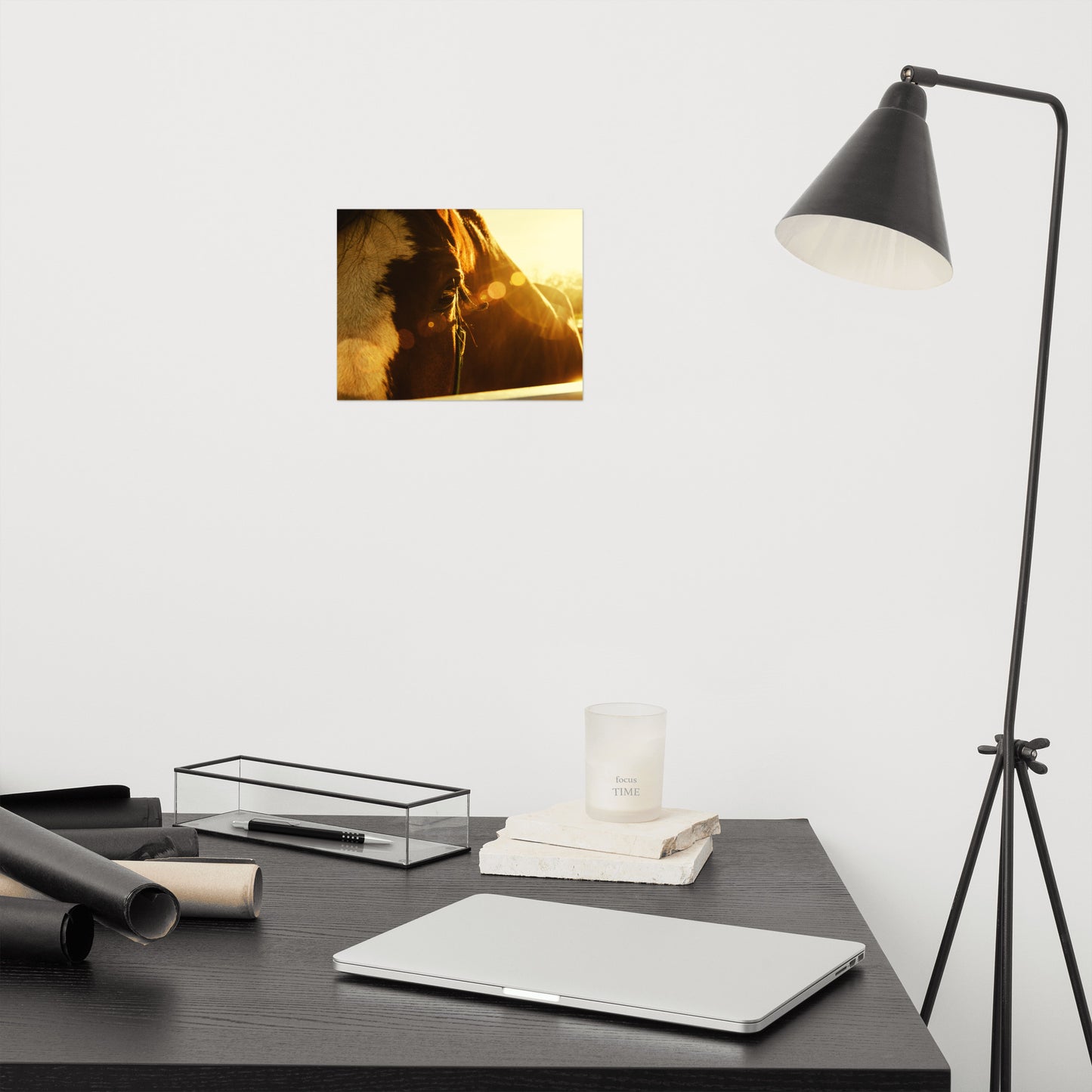 Evening Flare Rustic Farmhouse Style Horse Photograph Loose Wall Art Print