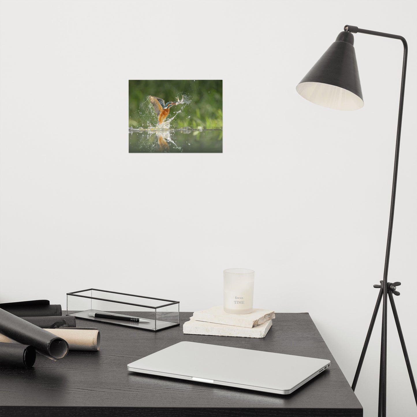 Flying Turquoise Blue and Orange Common Kingfisher Bird With Fish Loose Wall Art Print