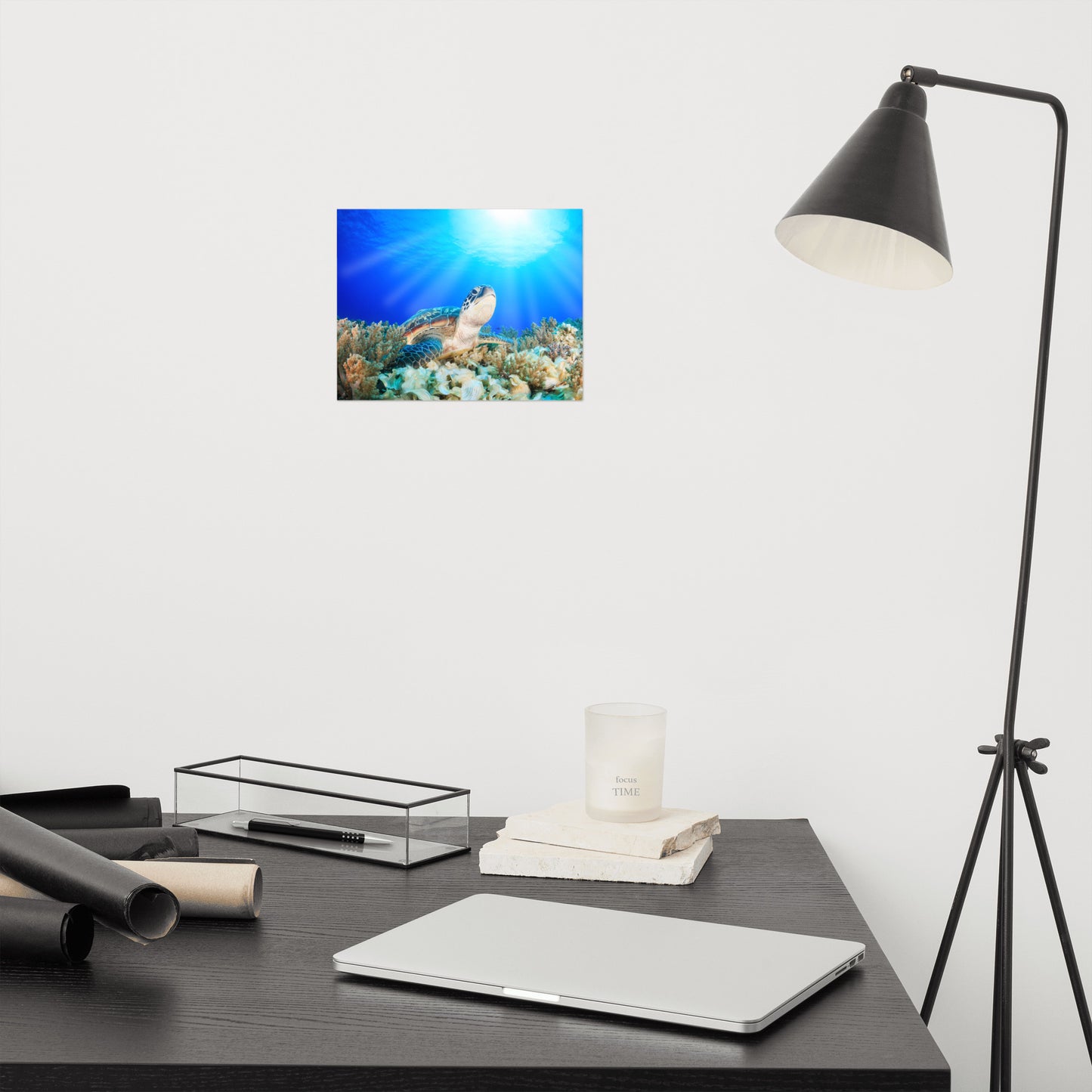 Green Sea Turtle In Tropical Coral Reef and Sunbeams Animal Wildlife Photograph Loose Wall Art Print