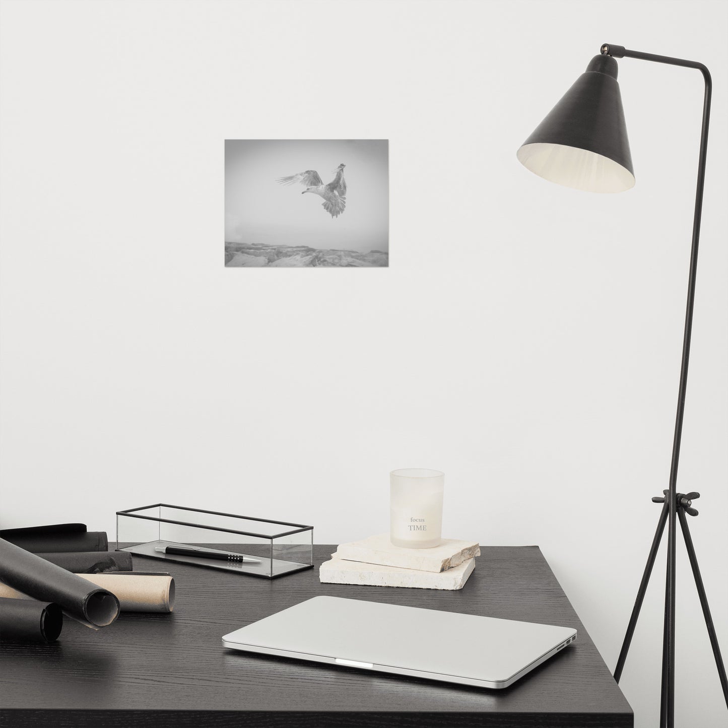 Gull in the Mist Black and White Bird / Animal / Wildlife Photograph Loose Wall Art Print