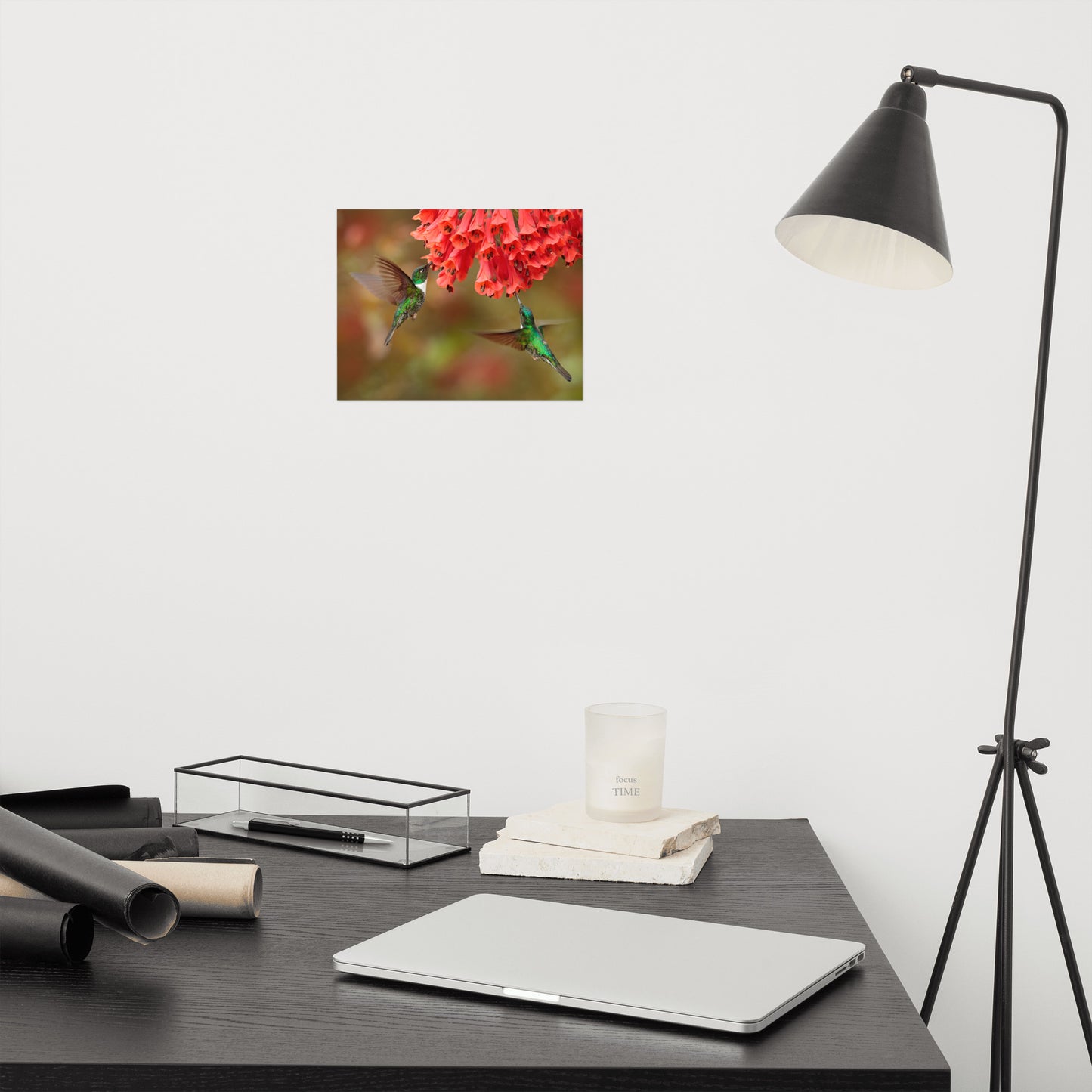 Hummingbirds with Reddish-Orange Flowers Loose Wall Art Print