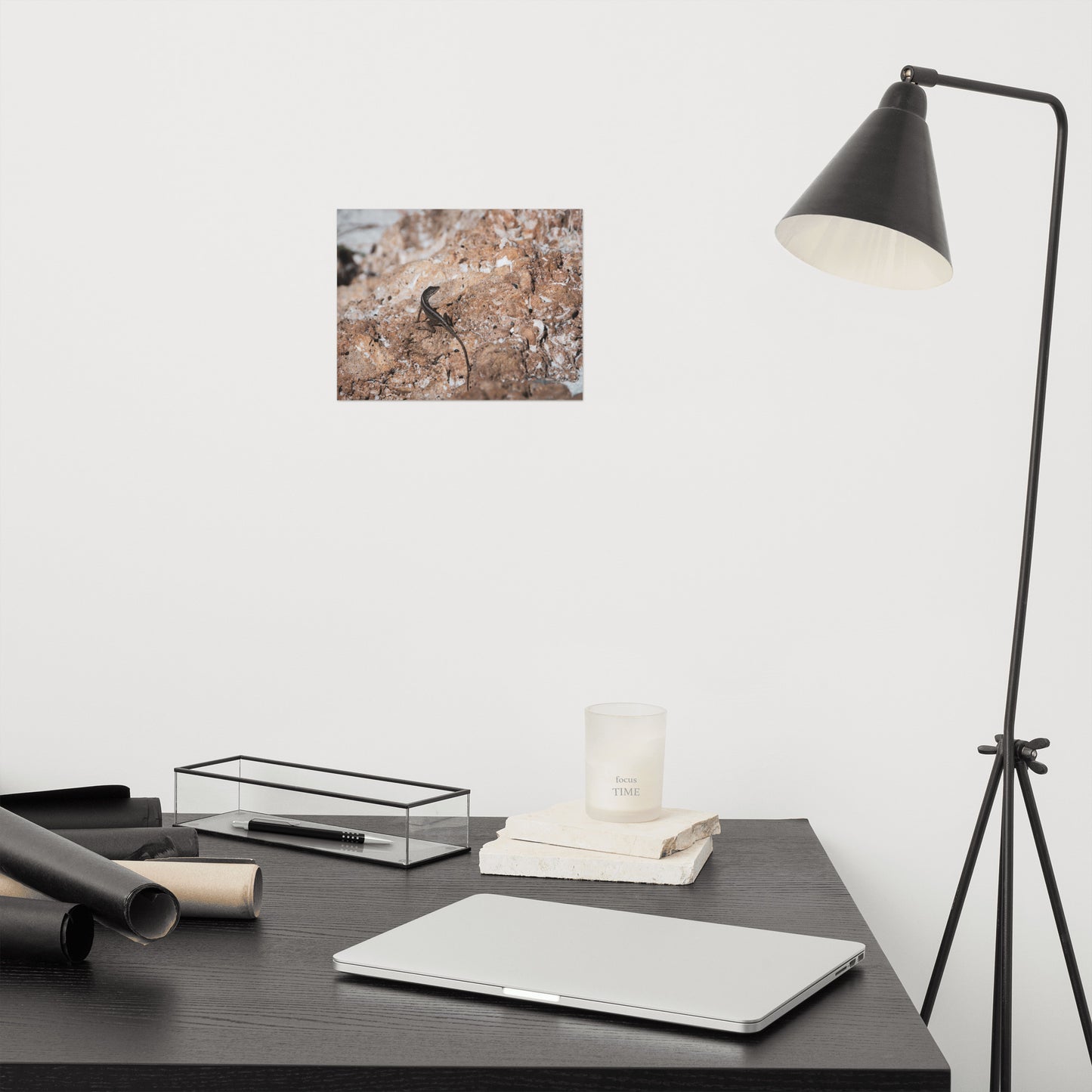 Lizard Rock Rustic Coastal Animal Wildlife Photograph Loose Wall Art Print