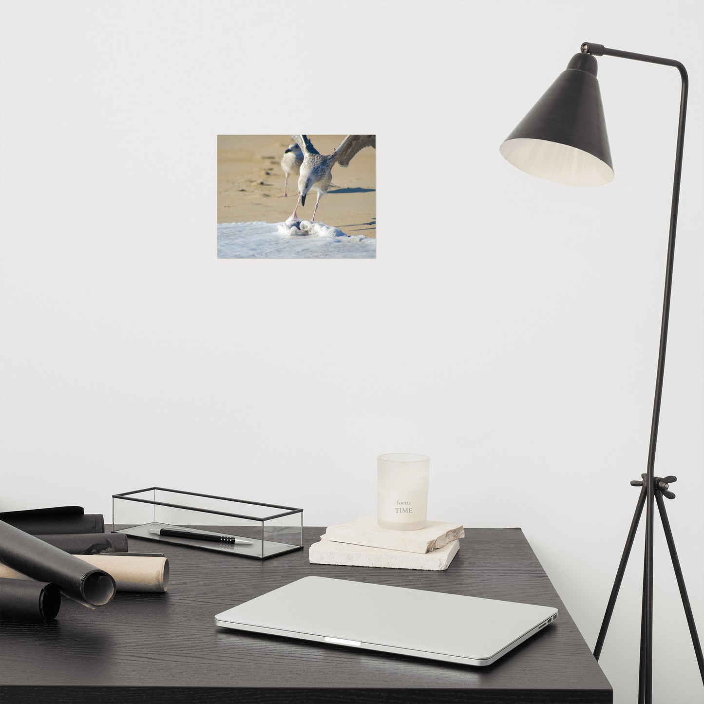 Oh That's Cold Coastal Bird Wildlife Photograph Loose Wall Art Print