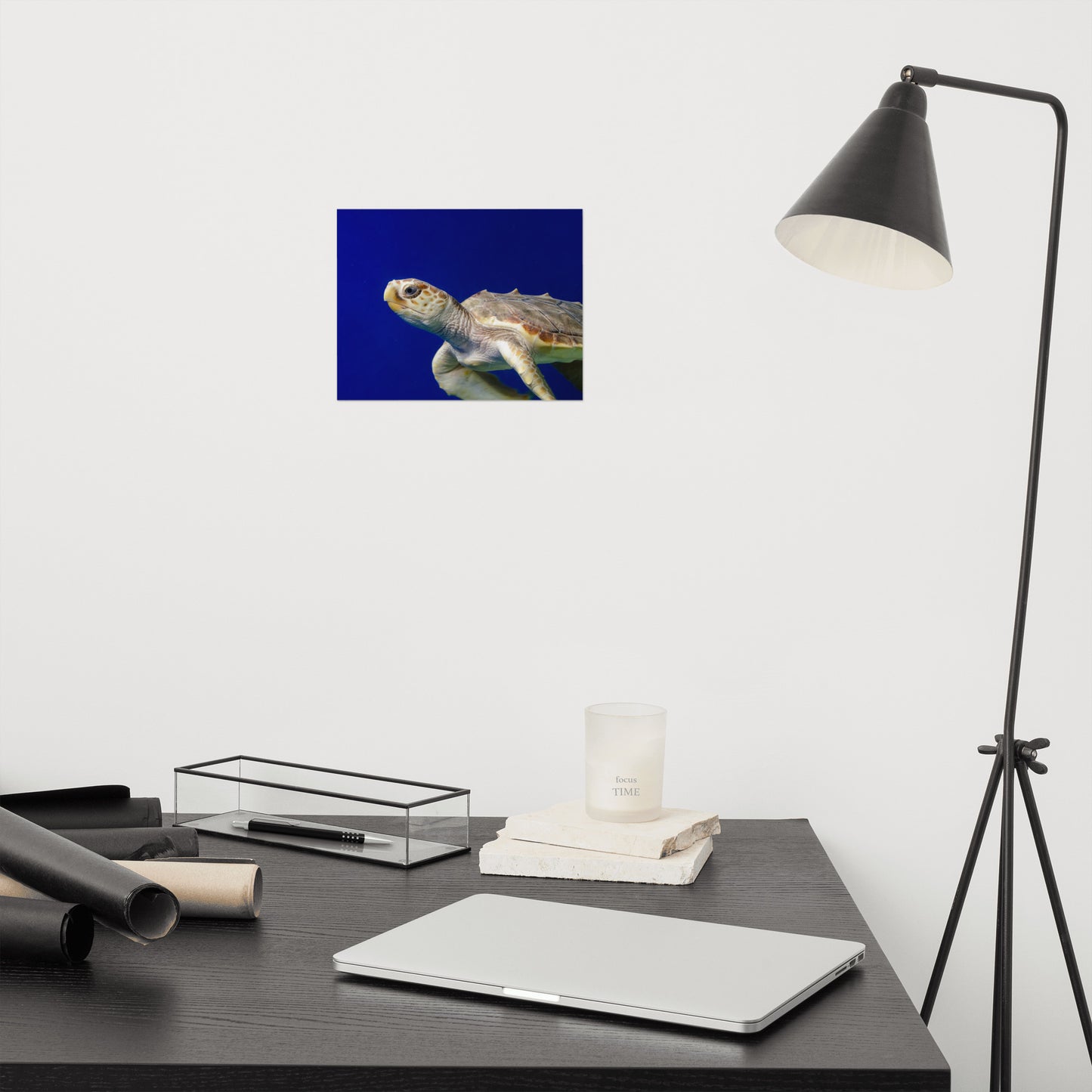 Sea Turtle 2 Marine Animal / Wildlife Photograph Loose Wall Art Print