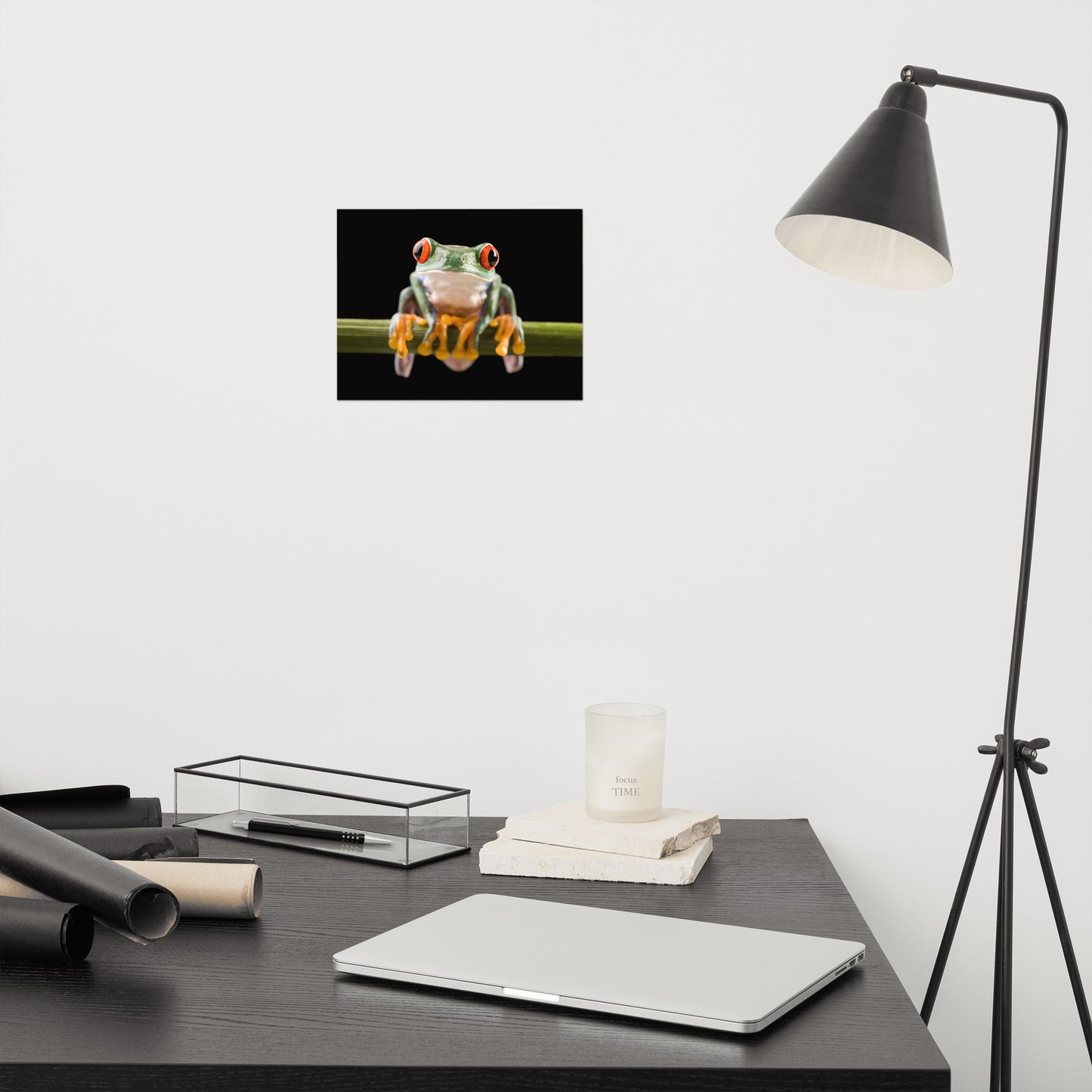 Red Eyed Tree Frog Sitting on Branch Animal Wildlife Nature Photo Loose Wall Art Print