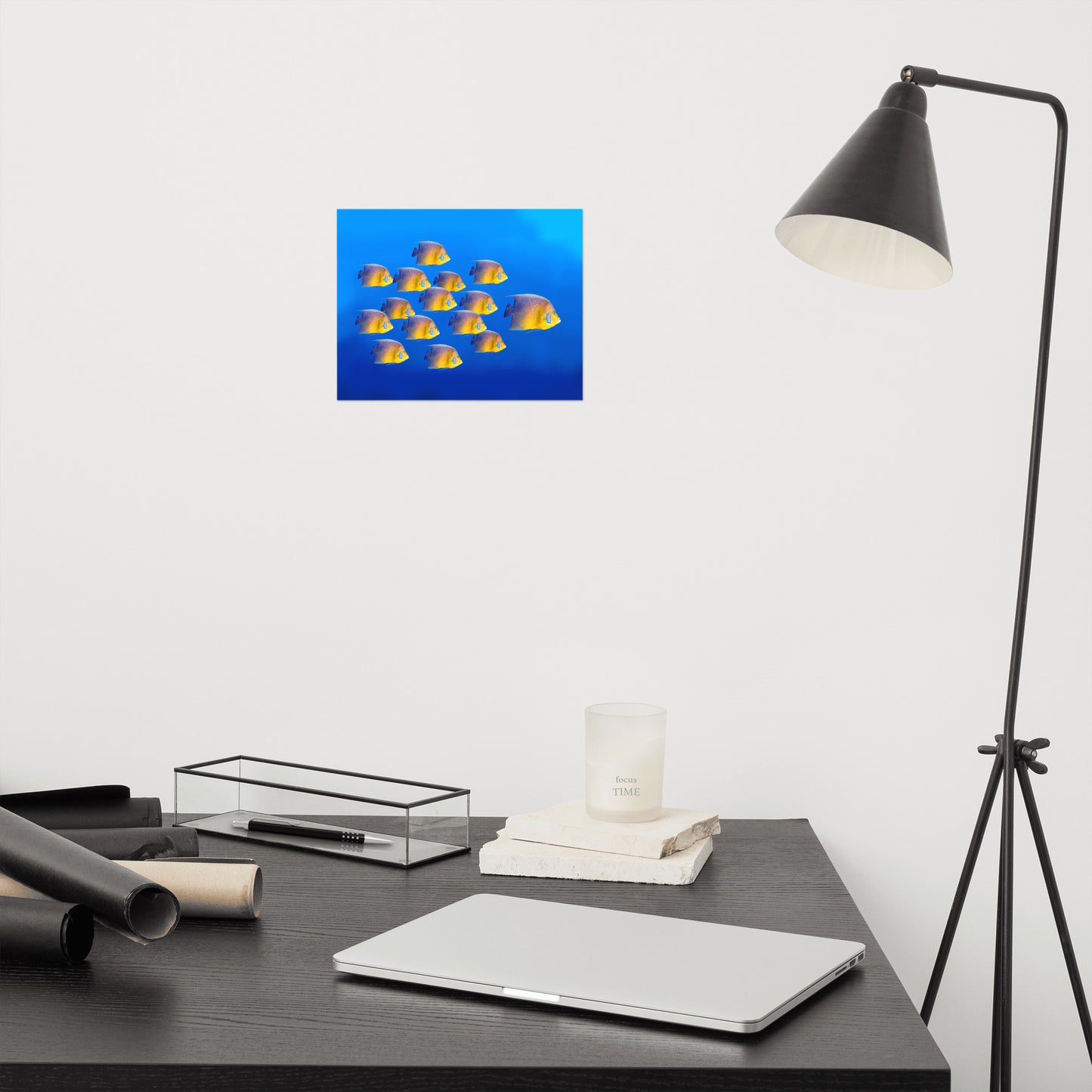 School of Tropical Coral Fish Angelfish Isolated In Blue Ocean Water Animal Wildlife Photograph Loose Wall Art Print