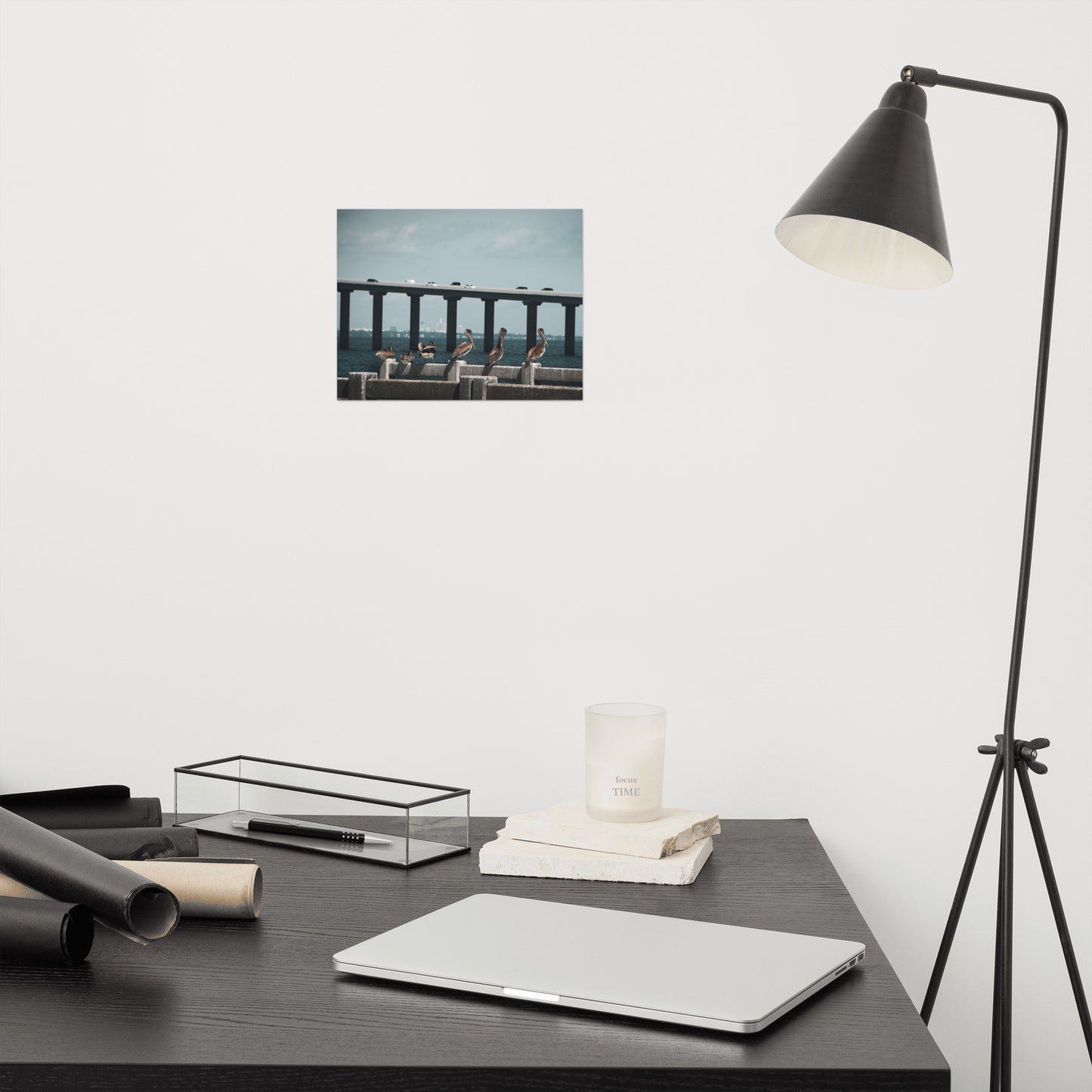 Skyway Bridge & Bob's Pelican Friends - Bird / Animal / Wildlife Photograph Loose Wall Art Print