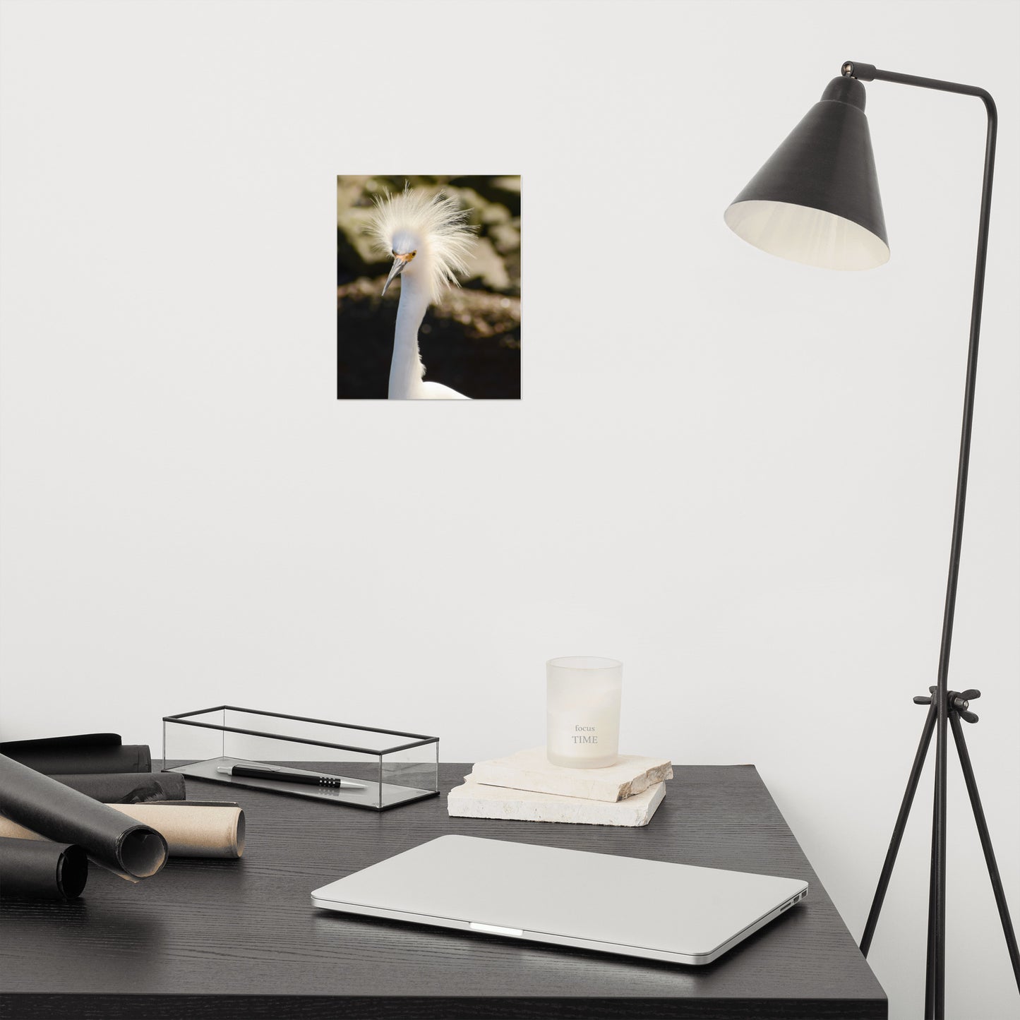 Snowy Egret - Coastal Bird Wildlife Photograph Loose Wall Art Print