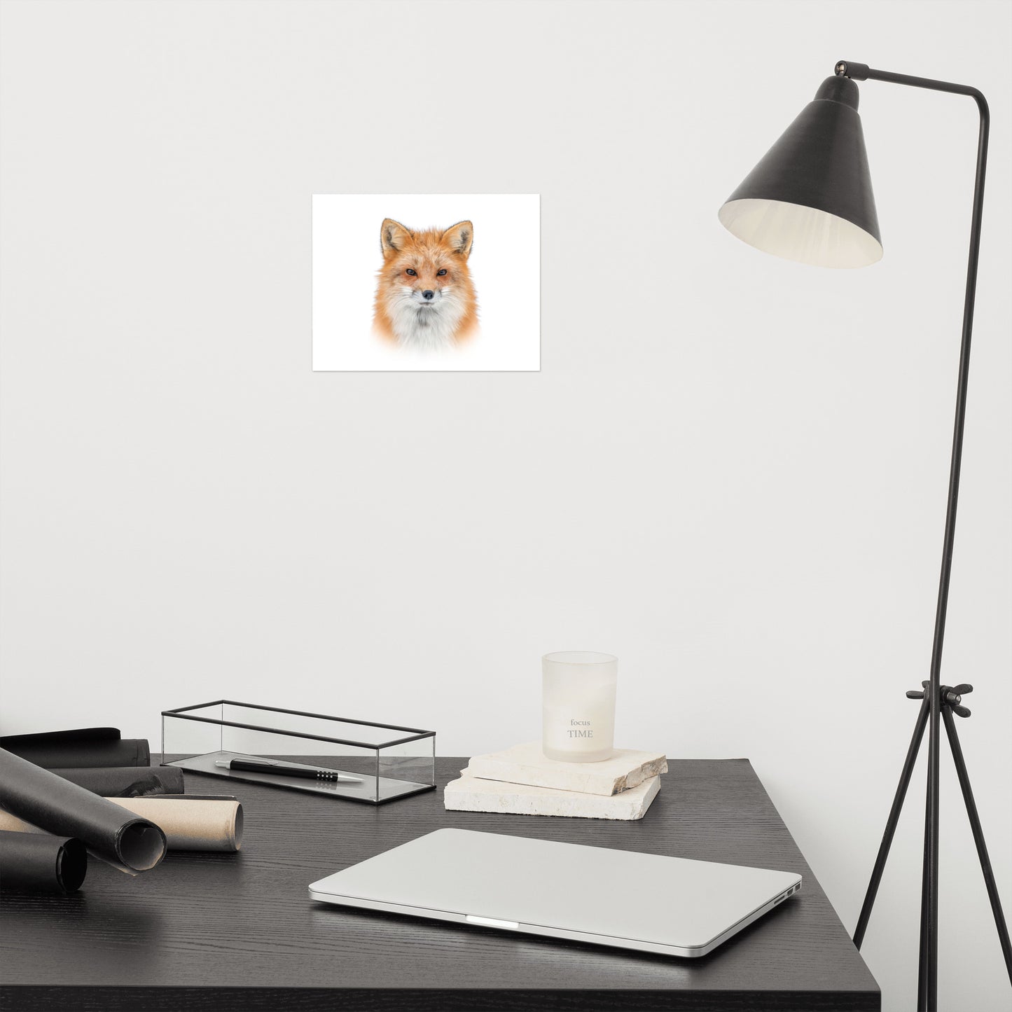 Young Red Fox Face on White Minimal Animal Wildlife Nature Photograph Loose Wall Art Print