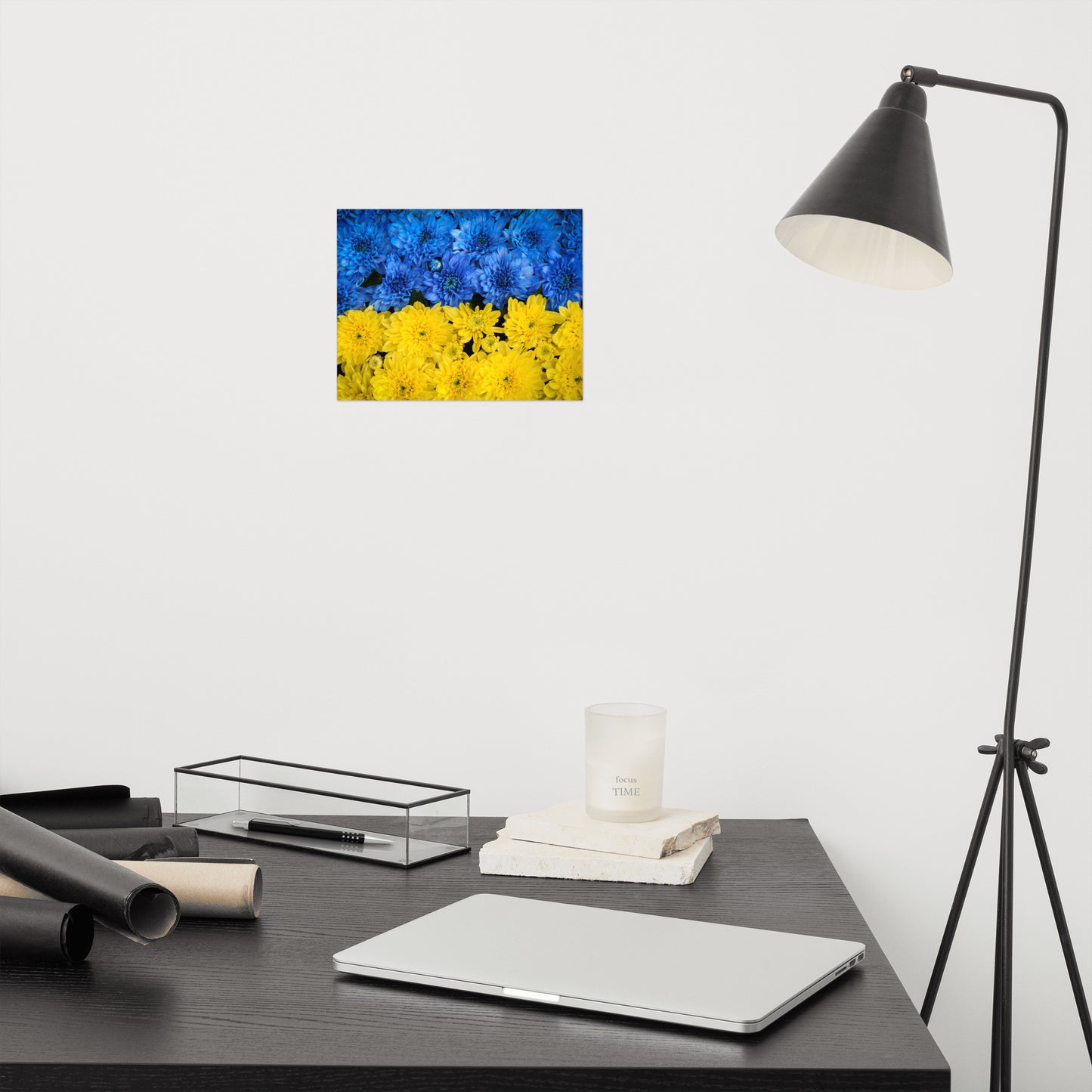 Blue and Yellow Chrysanthemums Nature Photo For Ukraine Refugees Loose Wall Art Print