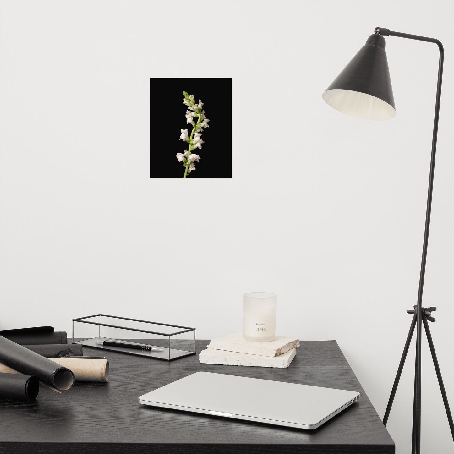 White Snapdragons Floral Nature Photo Loose Unframed Wall Art Prints
