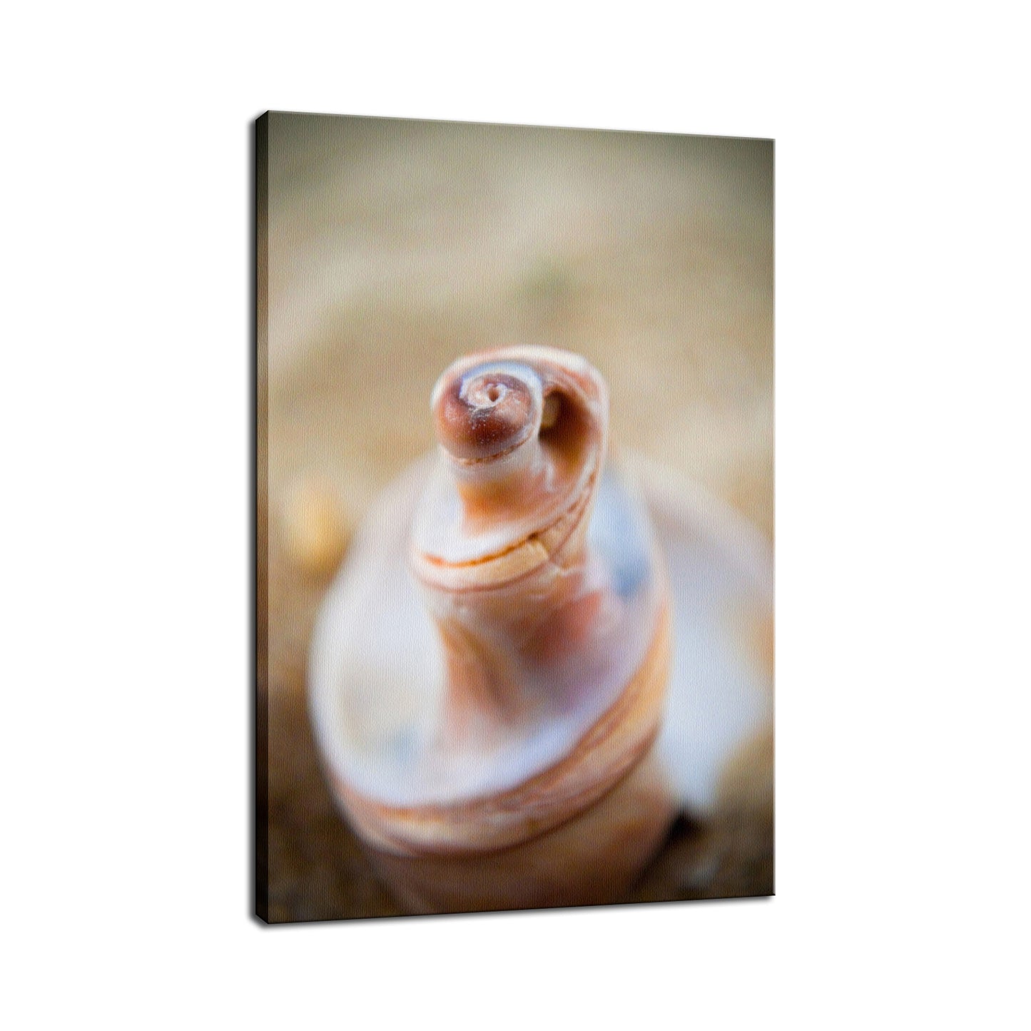 Smooth Erosion Coastal Nature Photo Fine Art Canvas Wall Art Prints  - PIPAFINEART