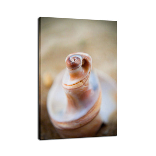 Smooth Erosion Coastal Nature Photo Fine Art Canvas Wall Art Prints  - PIPAFINEART