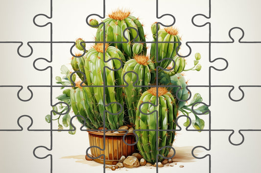 A Collection of Cacti Cactus Illustration Pencil Drawing Digital Puzzle