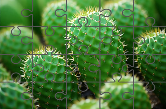 Free Online Jigsaw Puzzles: A Collection of Cacti