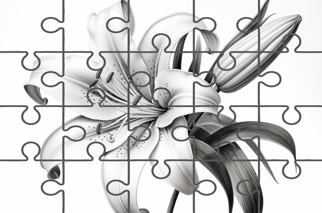 A Moment of Bloom Lily Pencil Sketch Charcoal Drawing Free Online Jigsaw Puzzle 