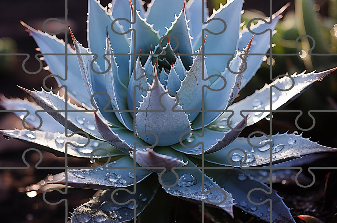 Free Jigsaw Puzzles: A Moment of Peace Botanical Rustic Photorealistic Botanical Digital Artwork