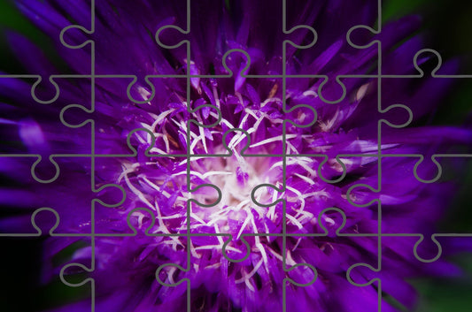 Abstract Flower Floral Photo Digital Puzzle