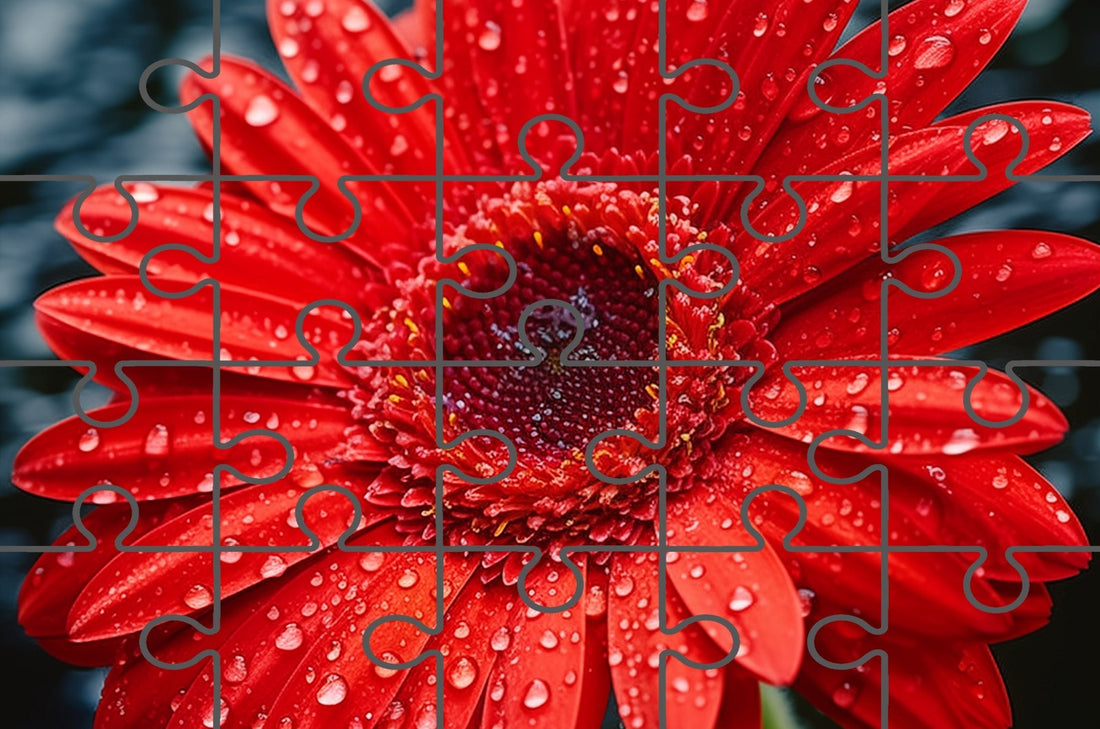 Floral Art: After the Rain Gerbera Daisy Digital Artwork - Digital Puzzle