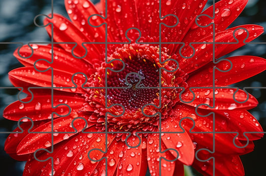 Floral Art: After the Rain Gerbera Daisy Digital Artwork - Digital Puzzle