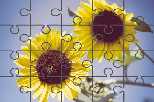 Aged Sunflowers Against Sky Floral Photograph Digital Jigsaw Puzzle