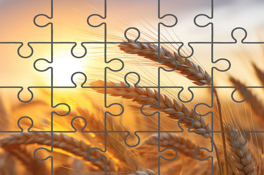 Amber Waves Minimal Botanical Rustic Subdued Wheat Crops Free Online Puzzle