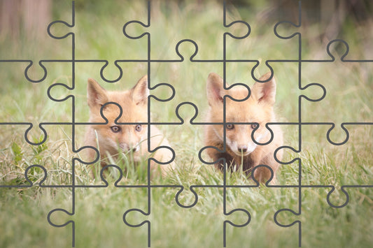 Baby Red Foxes Learning to Hunt Wildlife Photograph Digital Jigsaw Puzzle