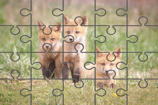 Baby Red Foxes Siblings Wildlife Photograph Digital Jigsaw Puzzle