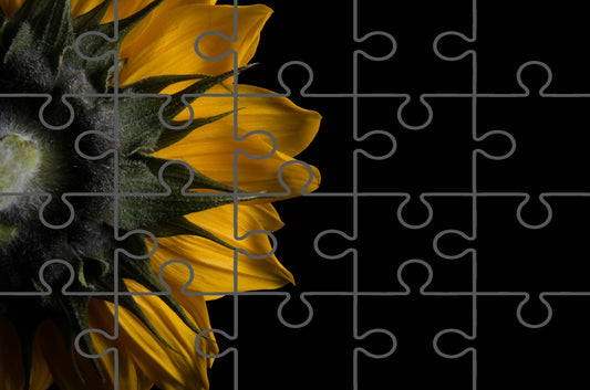 Backside of Sunflower Floral Photograph Digital Jigsaw Puzzle