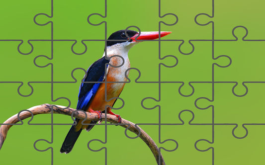 Black Capped Kingfisher Bird on Perch Wildlife Photograph Digital Jigsaw Puzzle
