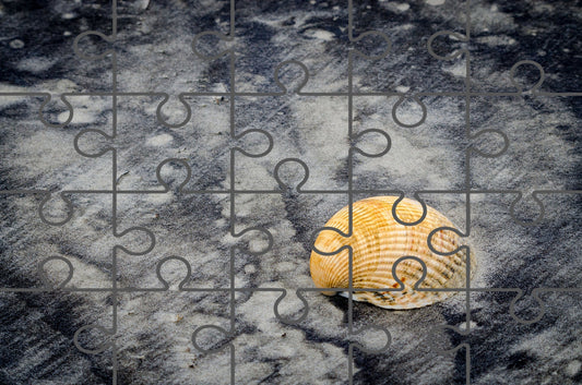 Black Sands and Seashell on the Shore Beach Photograph Digital Jigsaw Puzzle