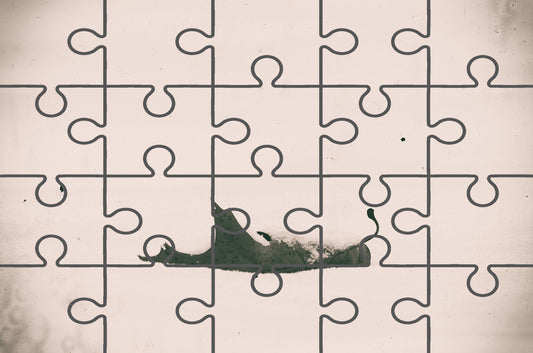 Bleak Winter Botanical Photograph Digital Jigsaw Puzzle