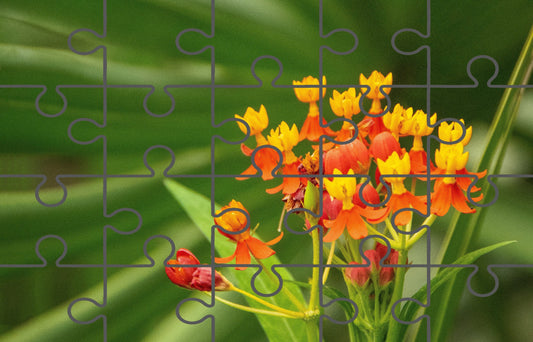 Bloodflowers and Palm Floral Photograph Digital Jigsaw Puzzle