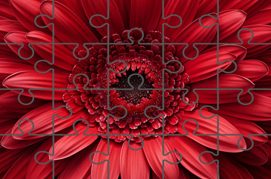 Play the Free "Bloomin' Beautiful" Red Daisy Online Jigsaw Puzzle