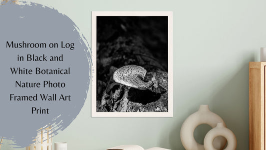 Pictures For Family Room Wall: Mushroom on Log in Black and White Botanical Nature Photo Framed Wall Art Print