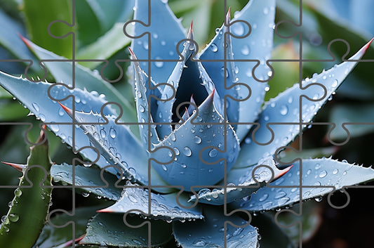 Delicate Agave Photorealistic Digital Botanical Artwork Free Digital Puzzle