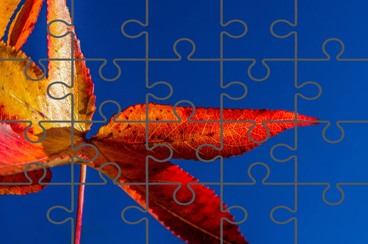 Fall Color Nature Photo Free Online Puzzle