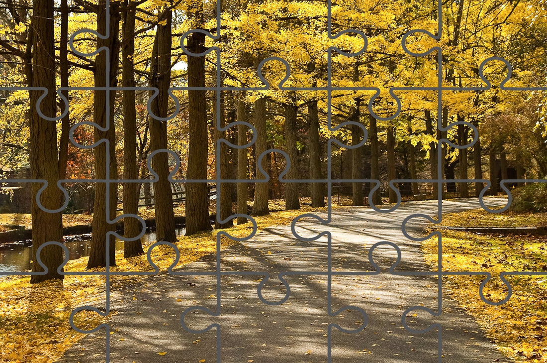 Fall Path Free Online Jigsaw Puzzle | Nature & Landscapes