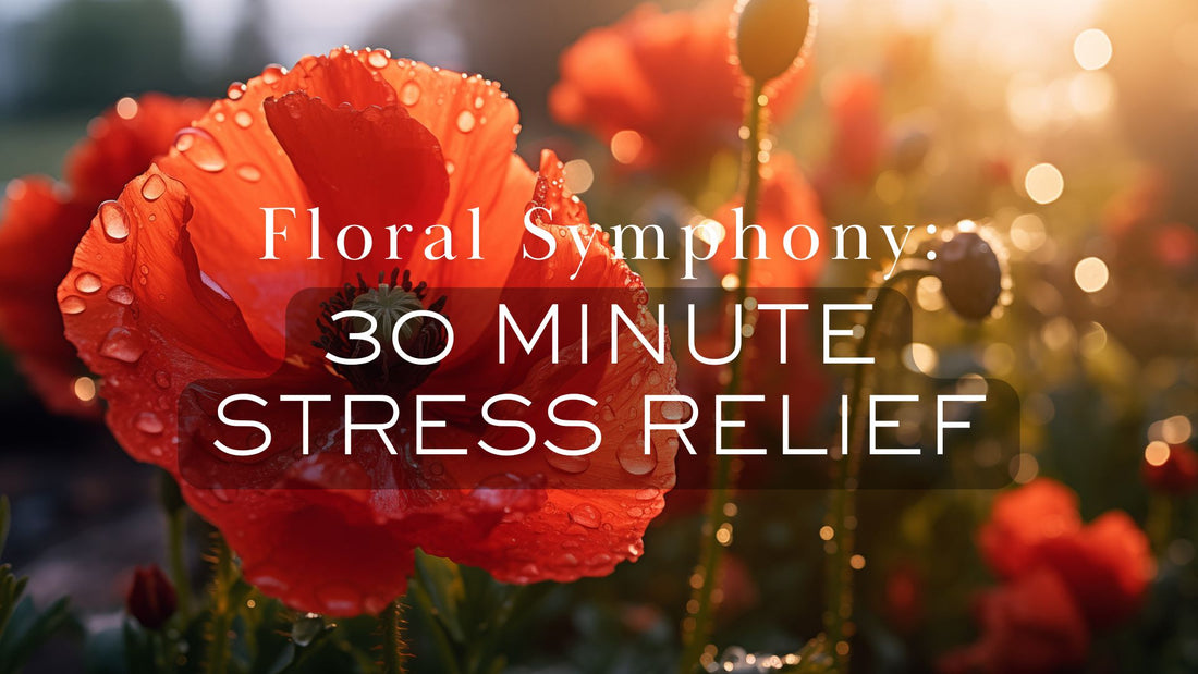 Floral Symphony: 30 Minute Stress Relief | Romantic Music, Beautiful Relaxing Music, Beautiful Art